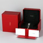 Cartier Panthère W2PN0018 (2026) - White dial 30 mm Gold/Steel case (7/7)