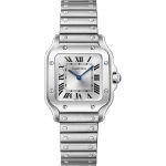 Cartier Santos WSSA0082 - (1/1)