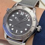 Omega Seamaster Diver 300 M 210.30.42.20.06.002 - (1/10)