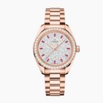 Omega Seamaster Aqua Terra 220.55.34.20.99.007 - (1/1)