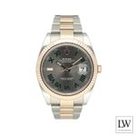 Rolex Datejust 41 126331 (2023) - Grey dial 41 mm Gold/Steel case (3/8)