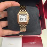 Cartier Panthère WGPN0007 - (3/8)