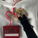 Omega Seamaster 166.020 - (8/8)