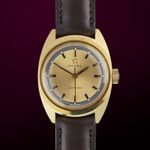 Omega Seamaster 535.012 (1969) - Gold dial 23 mm Gold/Steel case (1/8)