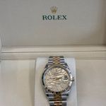 Rolex Datejust 36 126233 CHAMP PALM JUB (2024) - Unknown dial 36 mm Gold/Steel case (1/6)