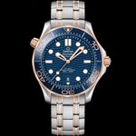 Omega Seamaster Diver 300 M 210.20.42.20.03.002 - (1/1)