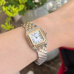 Cartier Panthère W2PN0013 (2025) - Silver dial 30 mm Gold/Steel case (7/7)