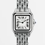 Cartier Panthère WSPN0016 (2025) - Silver dial 31 mm Steel case (1/8)