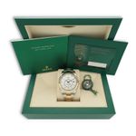 Rolex Sky-Dweller 326933 - (8/8)