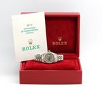 Rolex Lady-Datejust 69173 (1999) - Grey dial 26 mm Gold/Steel case (1/8)