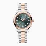 Omega Seamaster Aqua Terra 220.20.30.20.10.002 - (1/1)