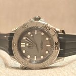 Omega Seamaster Diver 300 M 210.32.42.20.06.002 (2025) - Grey dial 42 mm Steel case (4/4)