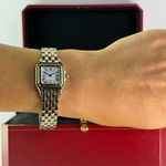 Cartier Panthère W2PN0018 (2025) - Silver dial 22 mm Gold/Steel case (6/7)