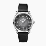 Omega Seamaster Railmaster 235.12.38.20.06.001 (2025) - Grey dial 38 mm Steel case (4/4)