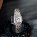 Cartier Panthère WSPN0006 (2025) - White dial 30 mm Steel case (1/5)