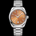 Omega Seamaster Aqua Terra 220.10.38.20.12.001 - (1/1)