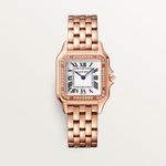 Cartier Panthère WJPN0072 (2025) - Silver dial 27 mm Rose Gold case (1/1)