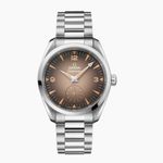 Omega Seamaster Railmaster 235.10.38.20.13.001 - (1/1)