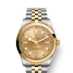 Tudor Black Bay S&G 79643 - (1/1)