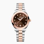 Omega Seamaster Aqua Terra