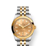 Tudor Black Bay S&G 79603 - (1/1)
