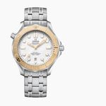 Omega Seamaster Diver 300 M 522.21.42.20.04.001 - (1/1)