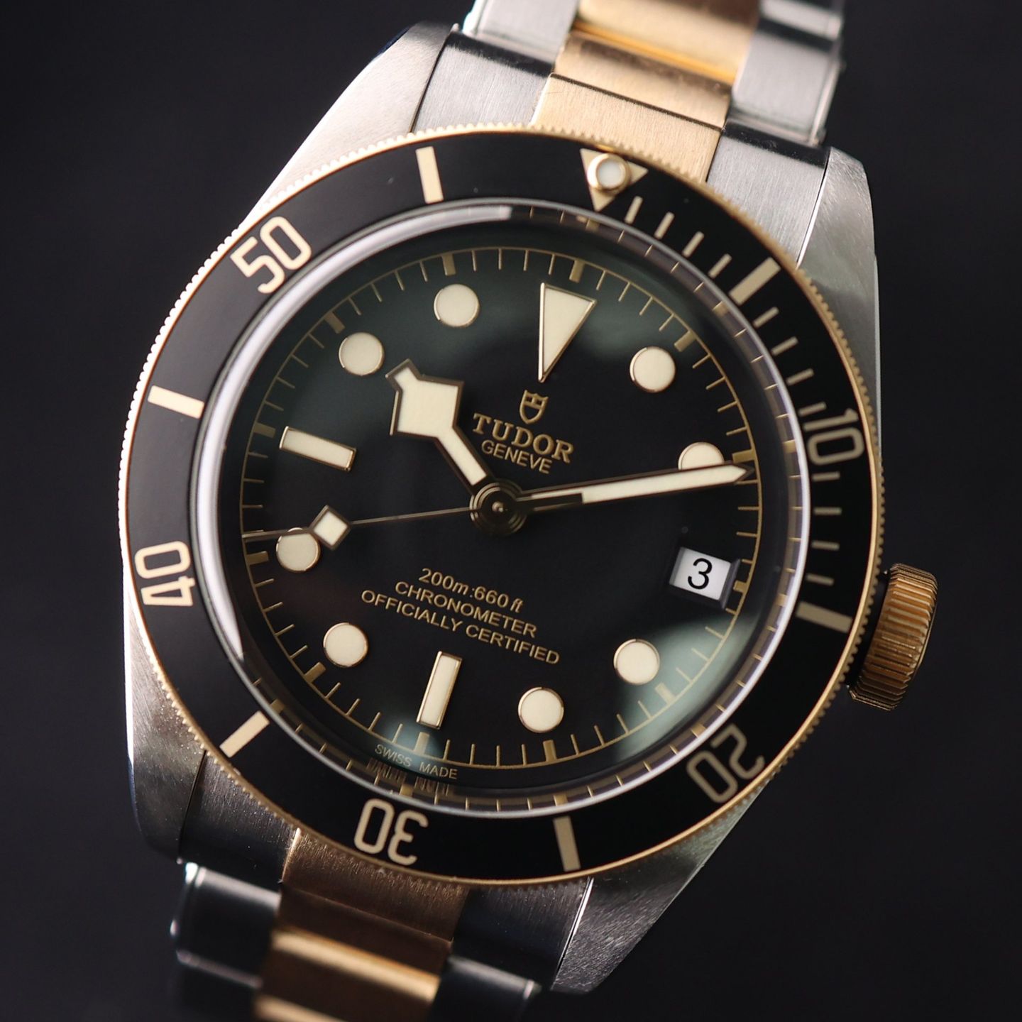 Tudor Black Bay S&G 79733N - (5/6)