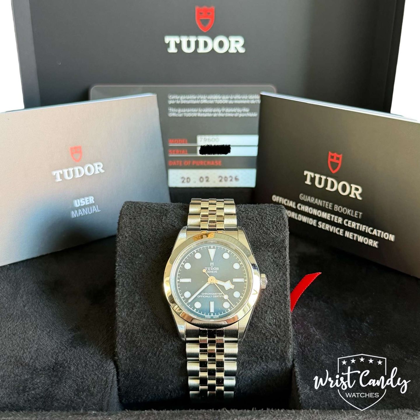 Tudor Black Bay 79600 - (8/8)