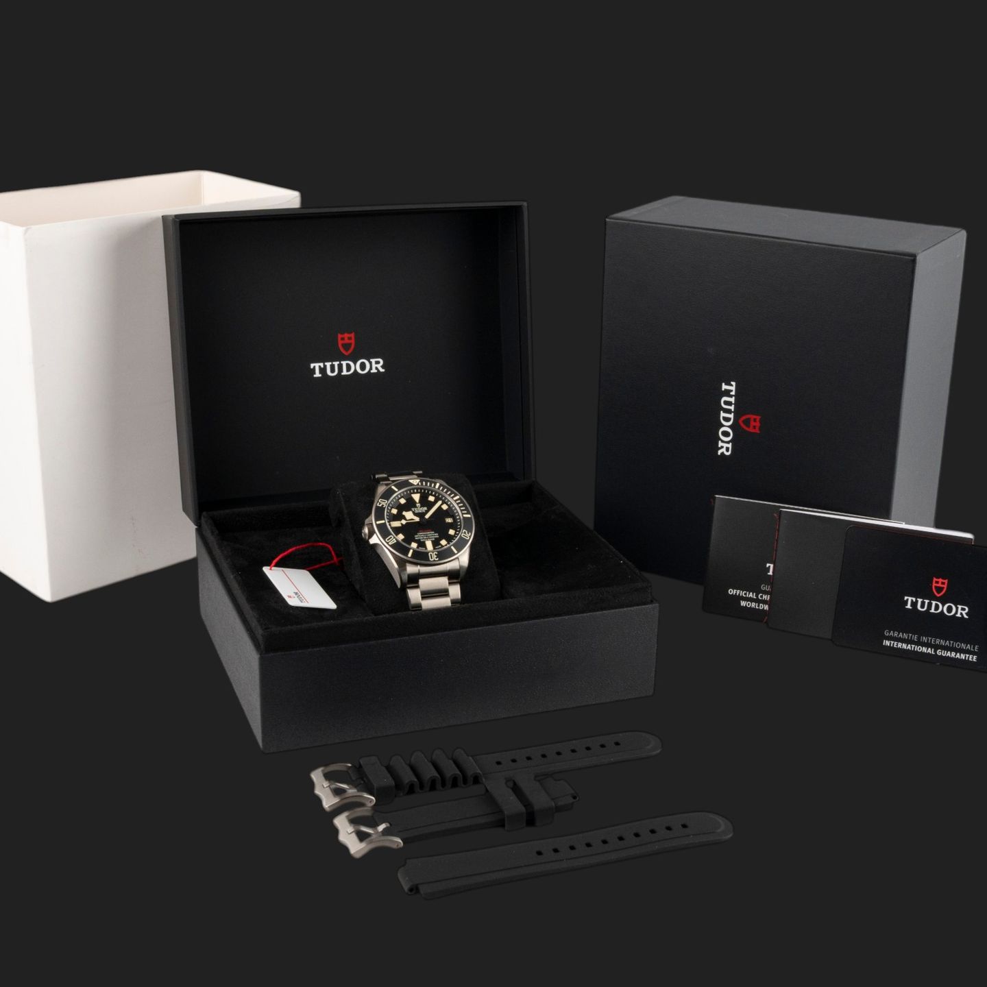 Tudor Pelagos 25610TNL - (8/8)