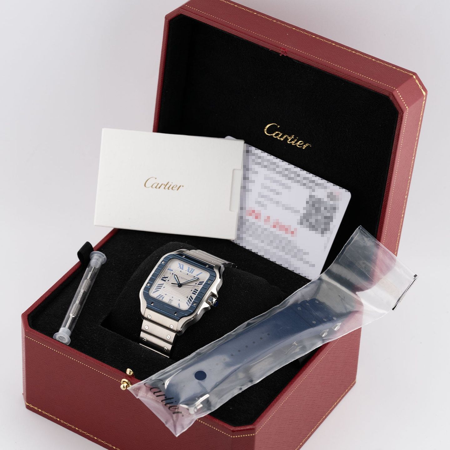 Cartier Santos WSSA0047 - (5/5)