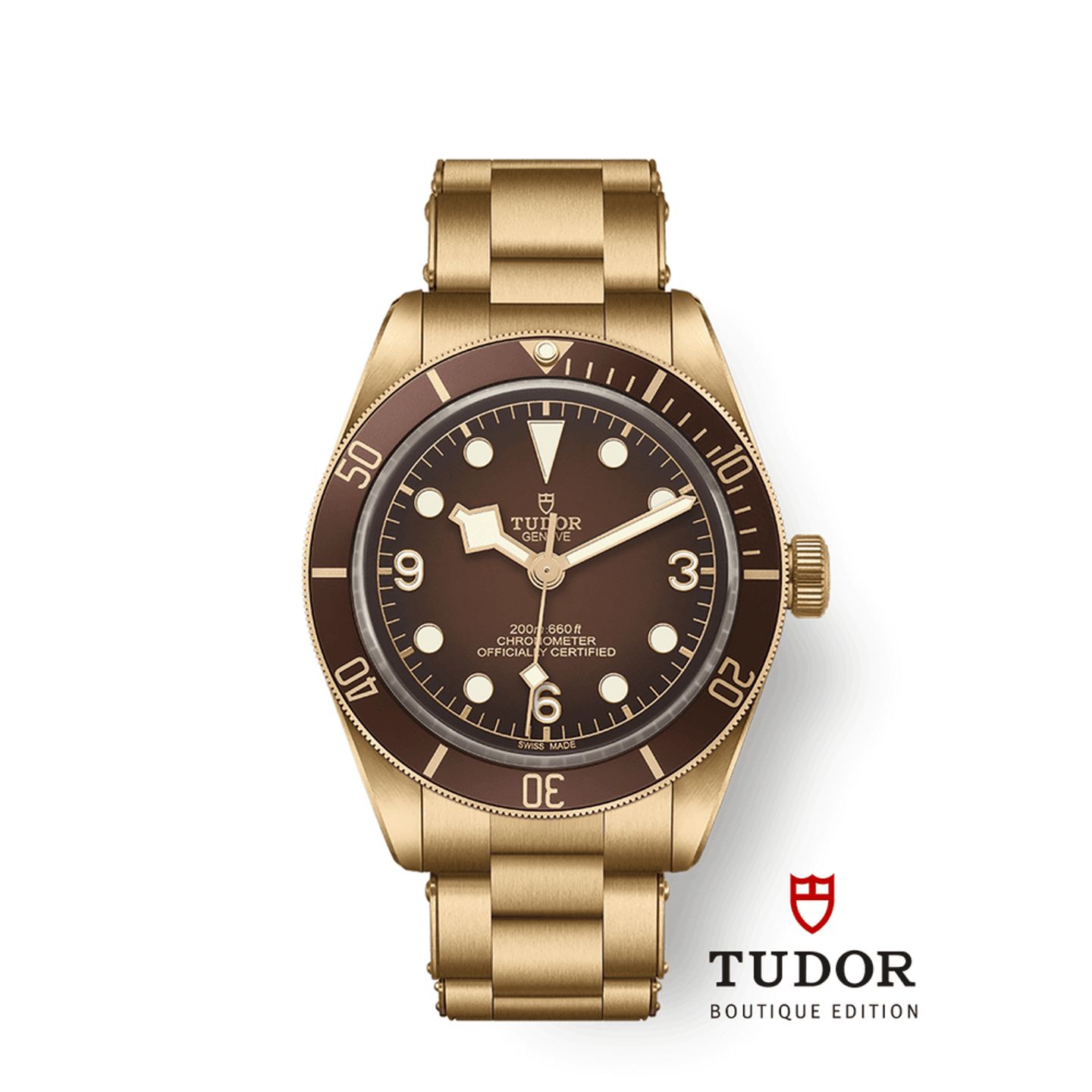 Tudor Black Bay Bronze 79012M (2025) - Brown dial 39 mm Bronze case (1/1)