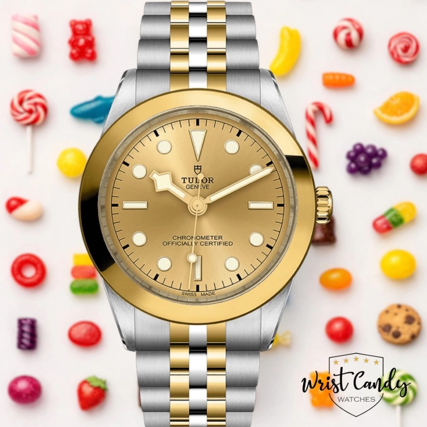 Tudor Black Bay S&G 79663 - (1/8)