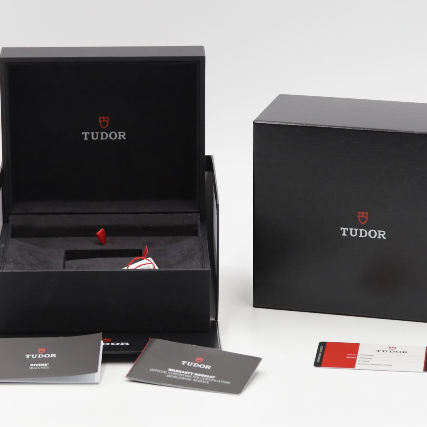 Tudor Black Bay 79230R - (8/8)