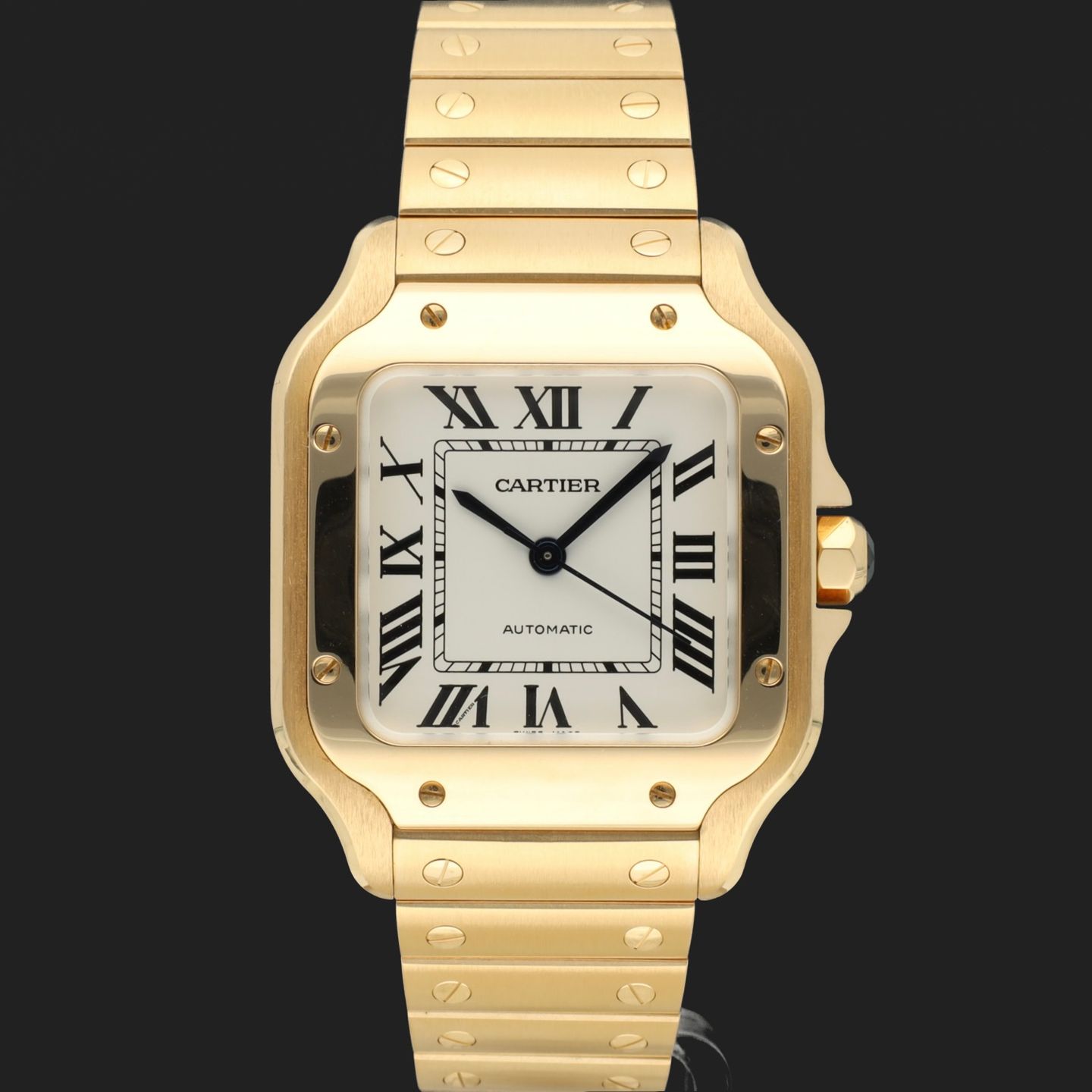Cartier Santos WGSA0030 - (3/8)