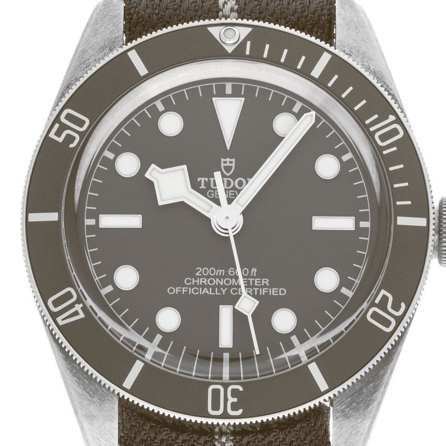 Tudor Black Bay Fifty-Eight 79010SG (2022) - Grey dial 39 mm Silver case (1/7)