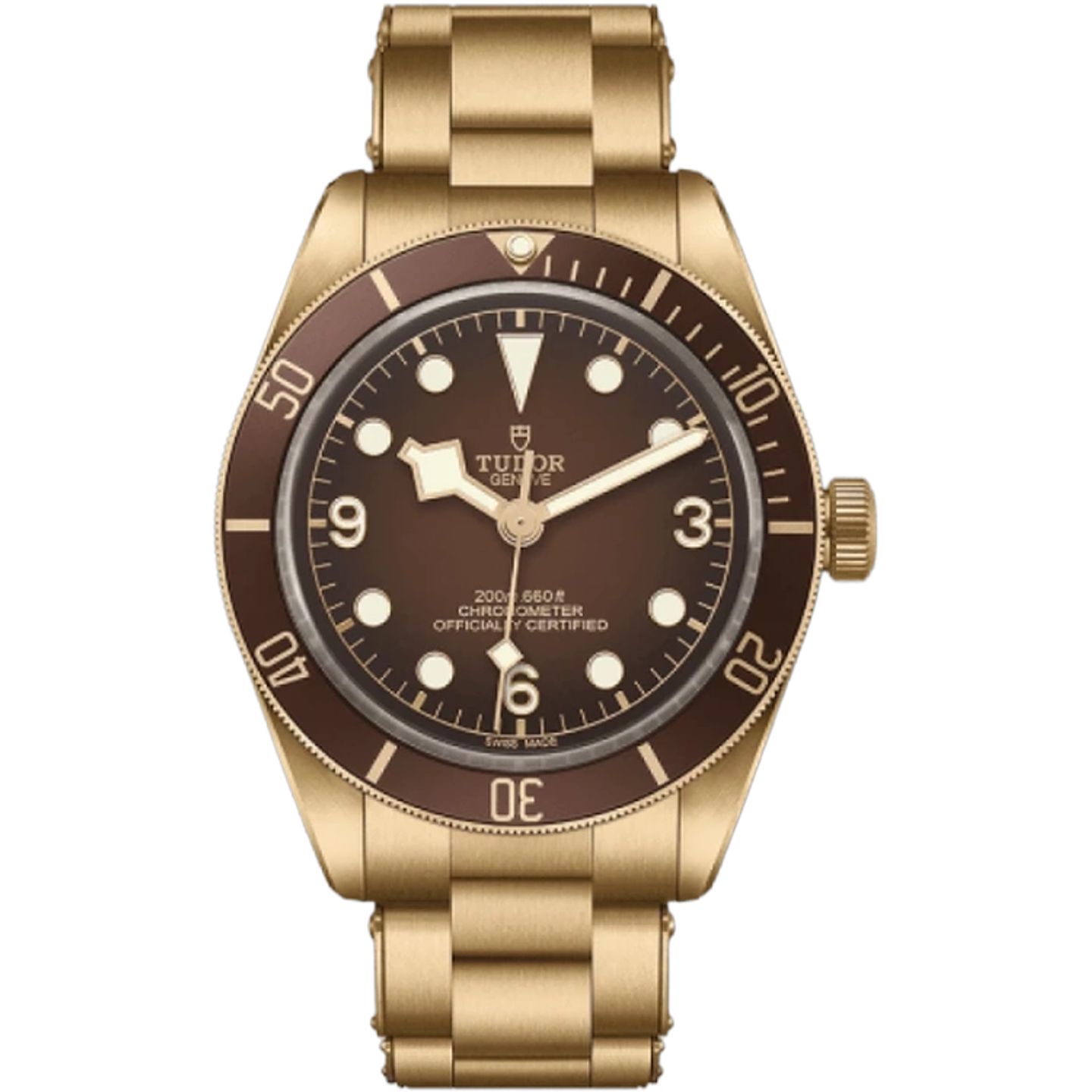 Tudor Black Bay Bronze 79012M (2026) - Brown dial 39 mm Bronze case (1/1)