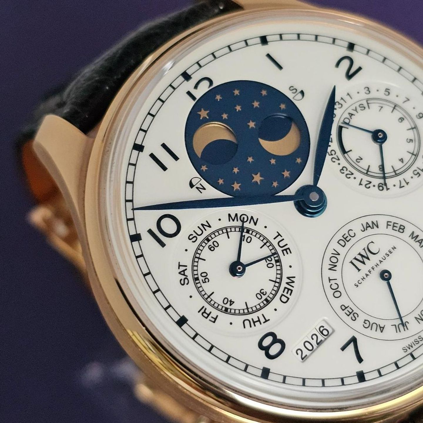 IWC Portuguese Perpetual Calendar IW503405 - (11/16)