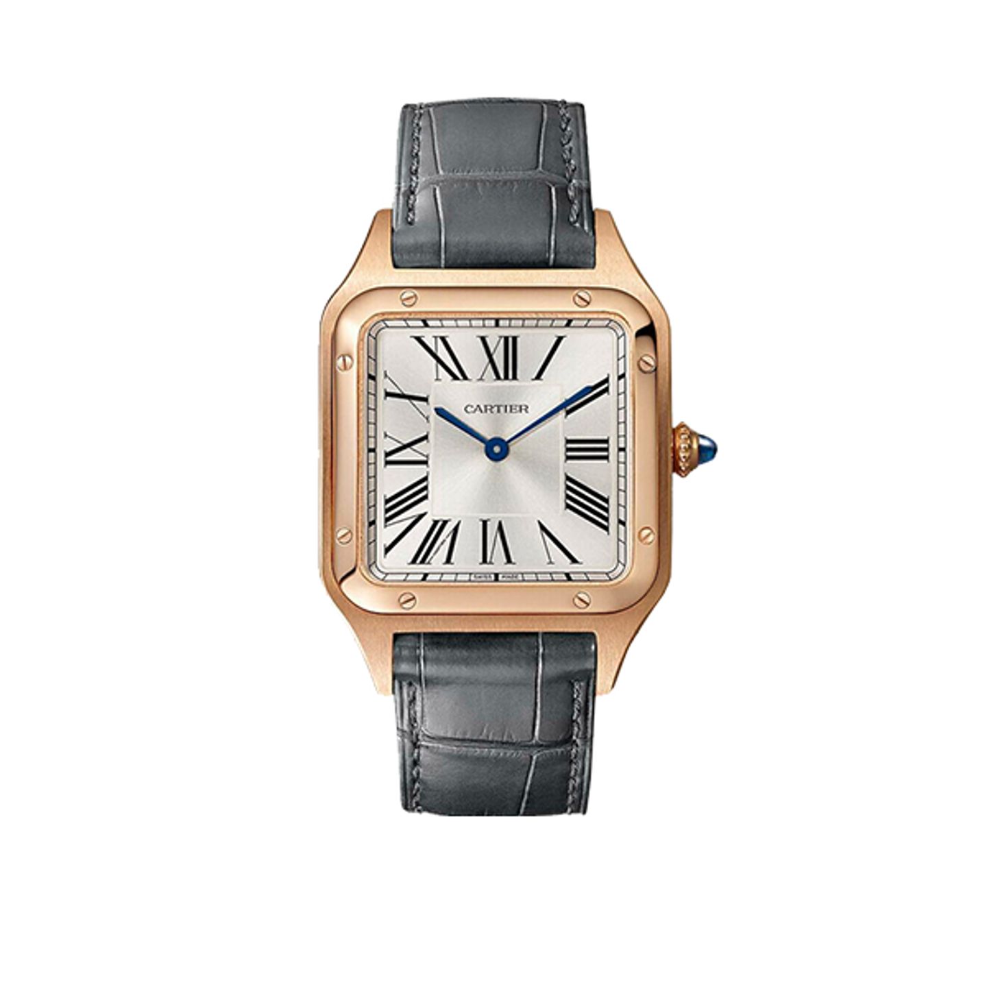 Cartier Santos Dumont WGSA0116 - (1/8)