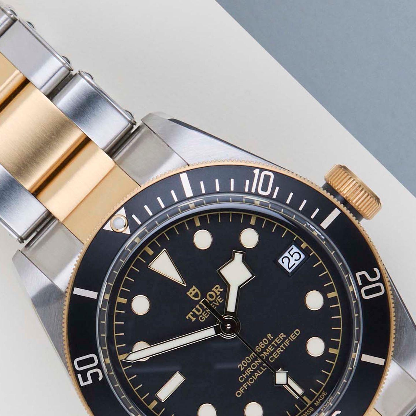 Tudor Black Bay S&G 79733N - (3/8)