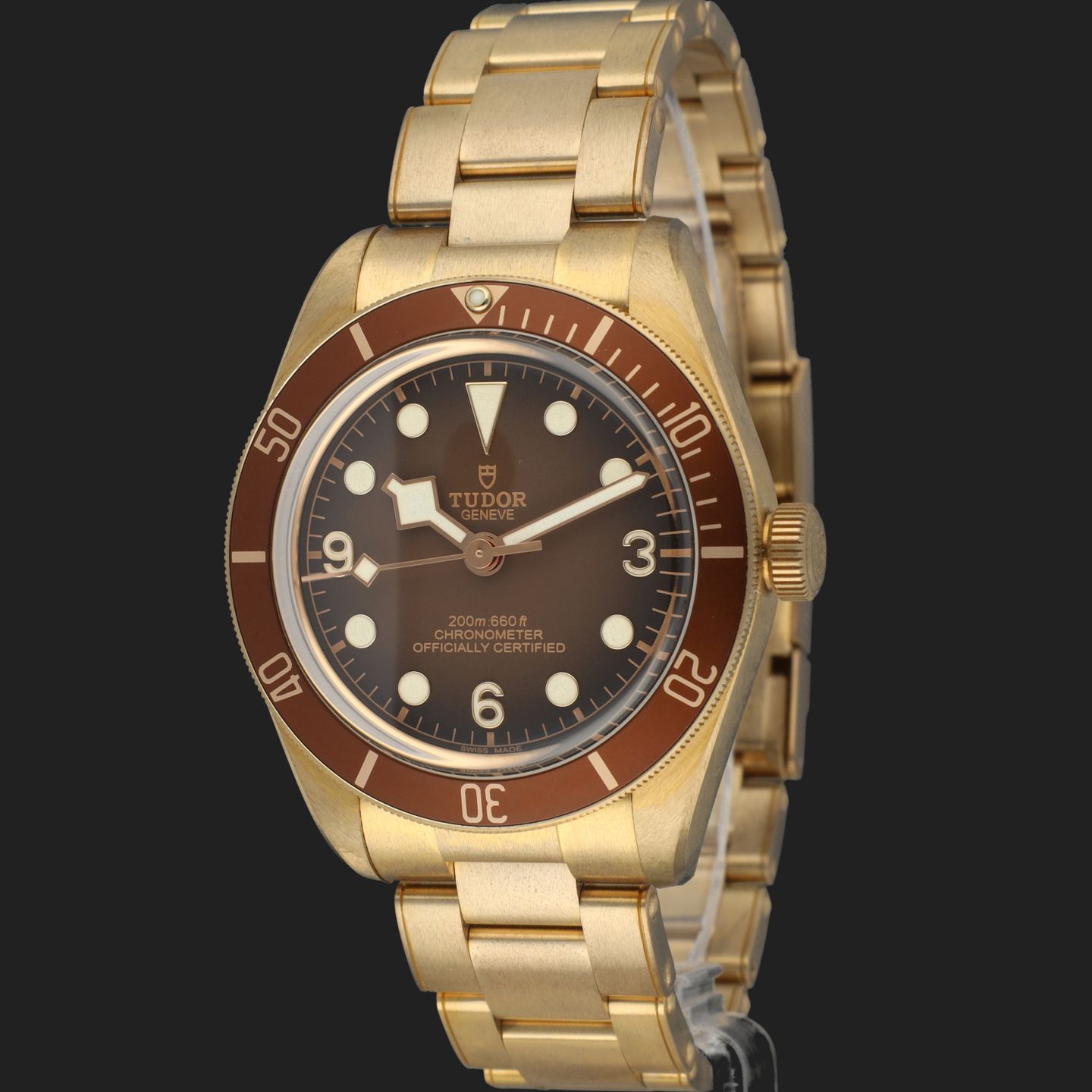 Tudor Black Bay Bronze 79012M (2021) - Brown dial 39 mm Bronze case (1/8)