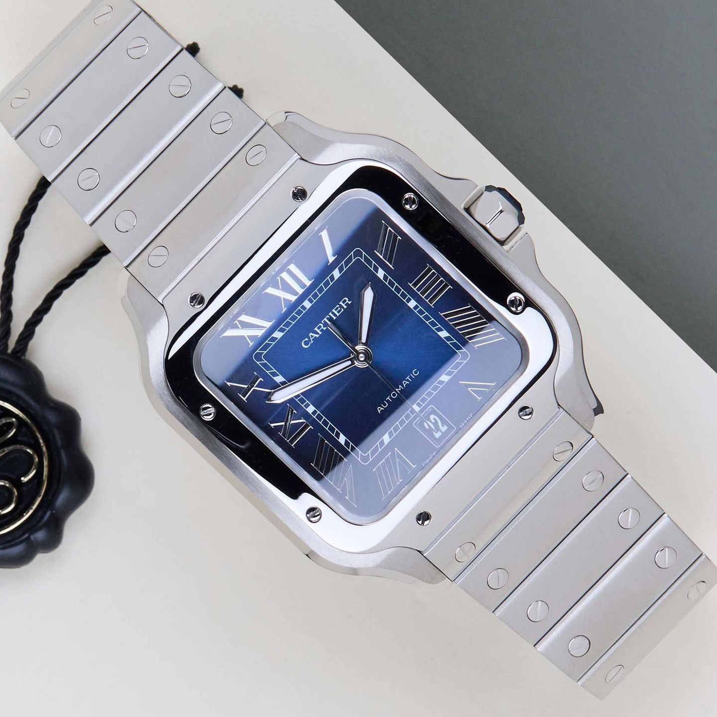 Cartier Santos WSSA0071 - (1/8)