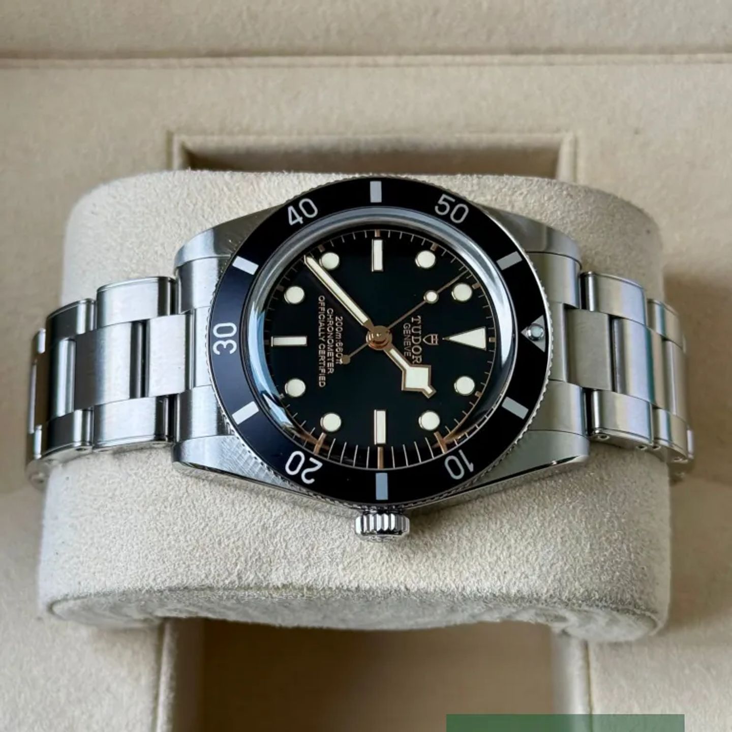 Tudor Black Bay 54 79000N - (4/7)