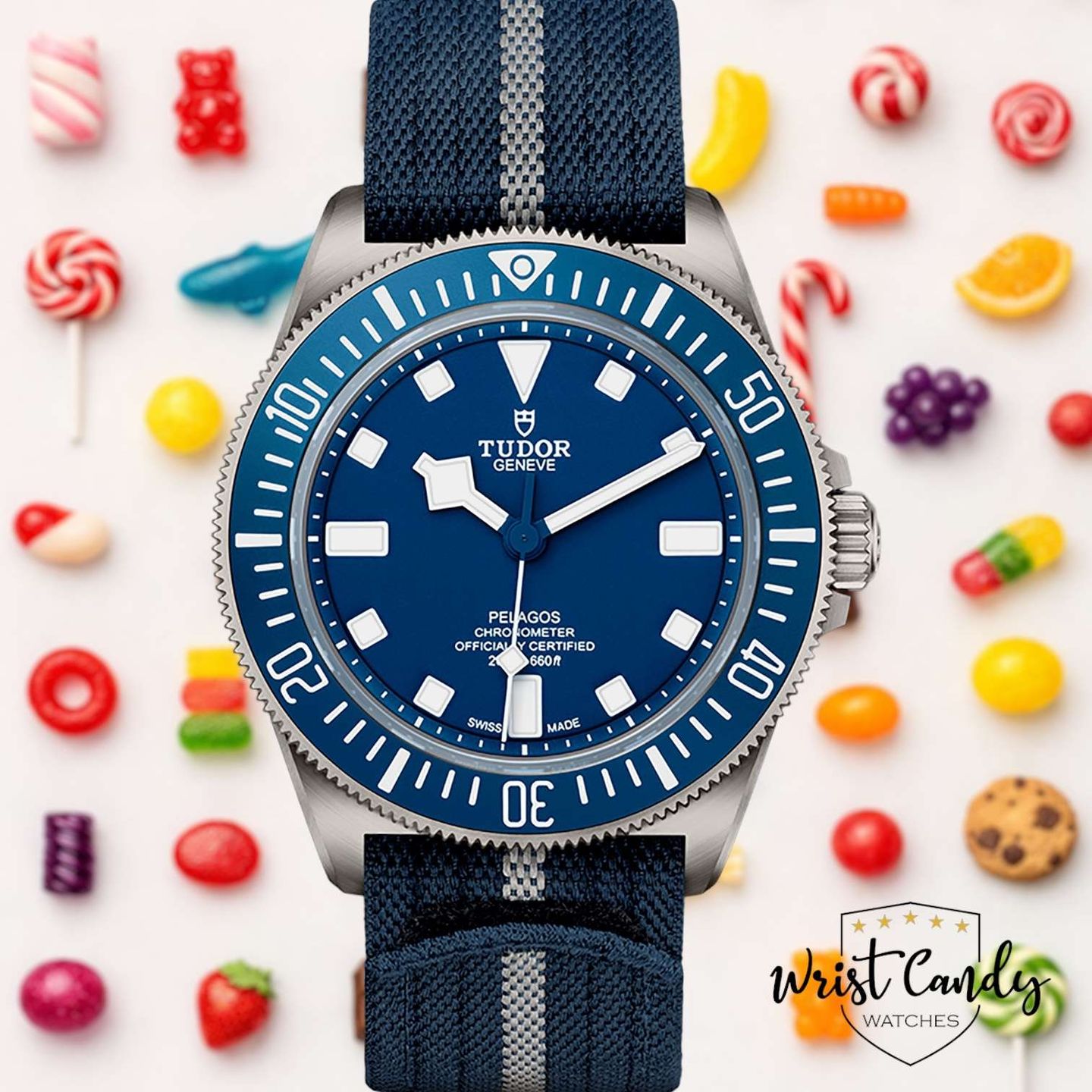 Tudor Pelagos 25707B/22 - (1/8)