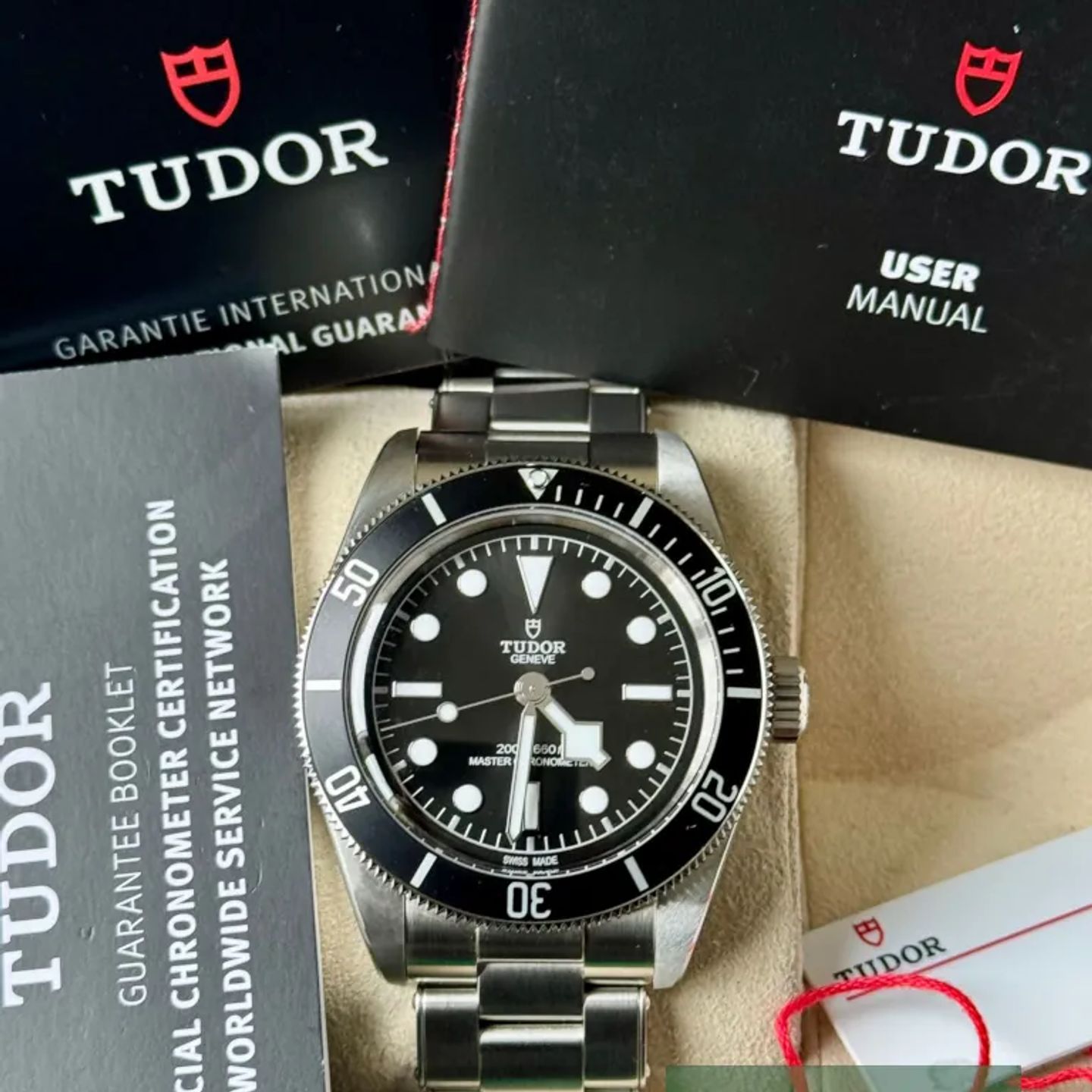 Tudor Black Bay 7941A1A0NU - (7/7)