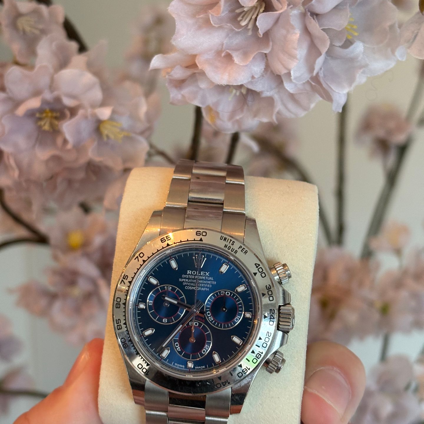 Rolex Daytona 116509 - (2/3)