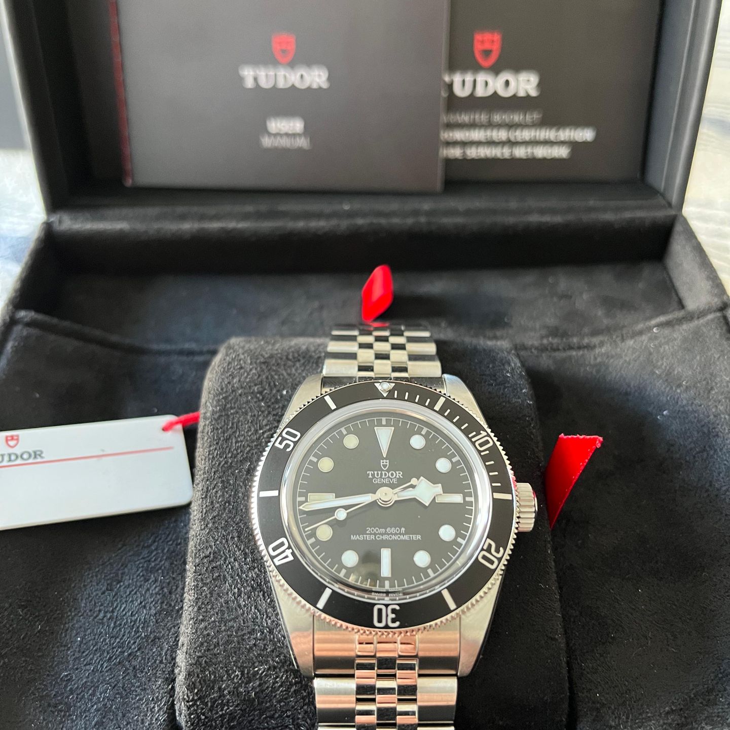 Tudor Black Bay 7941A1A0NU - (6/7)