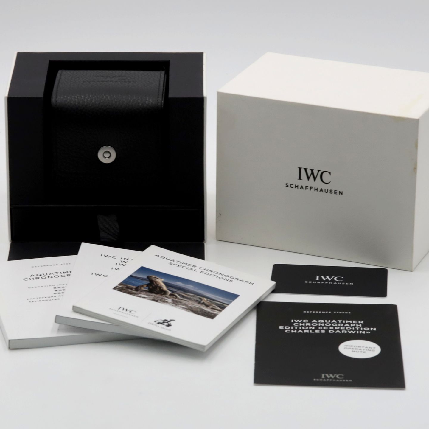 IWC Aquatimer Chronograph IW379503 (Unknown (random serial)) - Black dial 43 mm Bronze case (8/8)