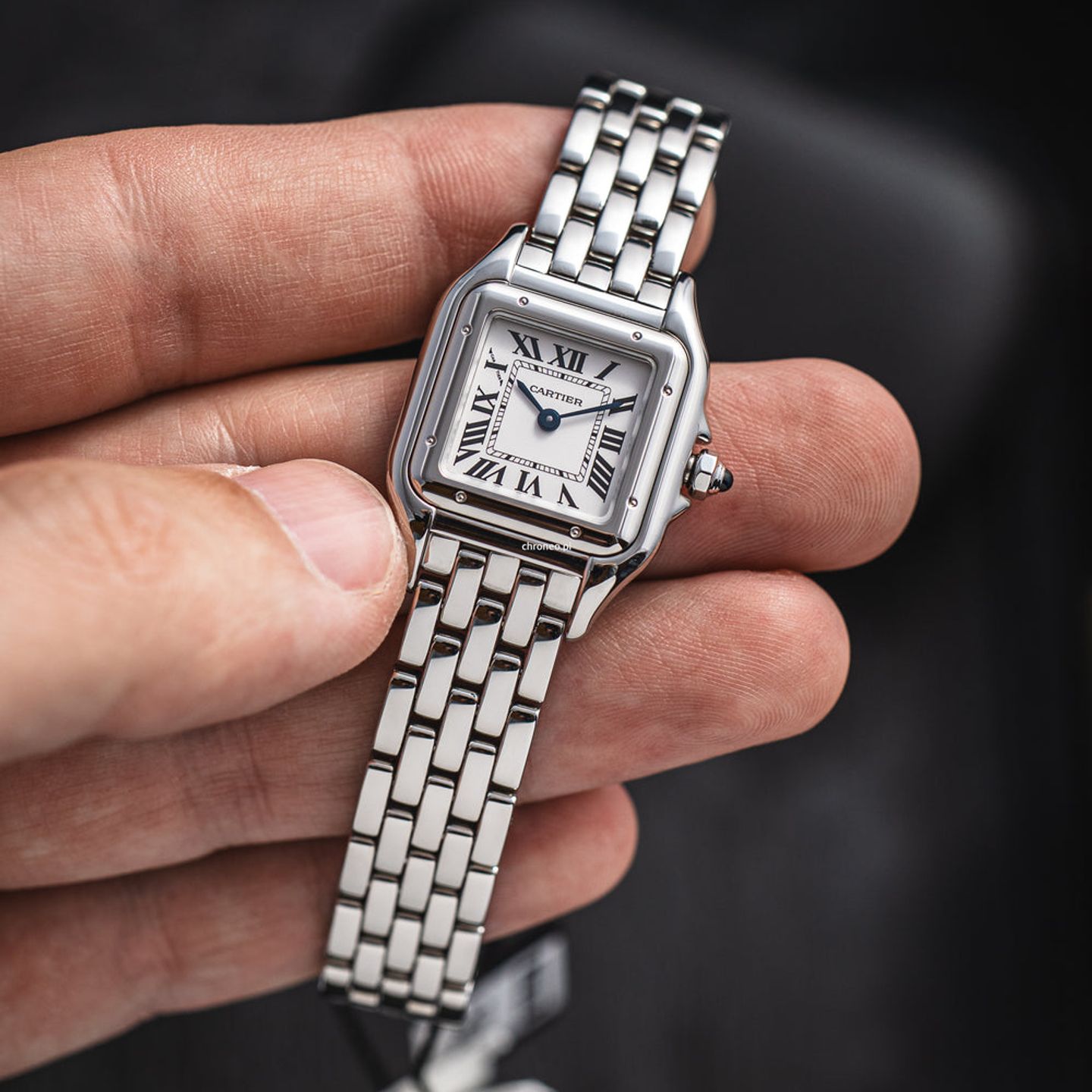 Cartier Panthère WSPN0013 (2025) - Silver dial 23 mm Steel case (3/7)