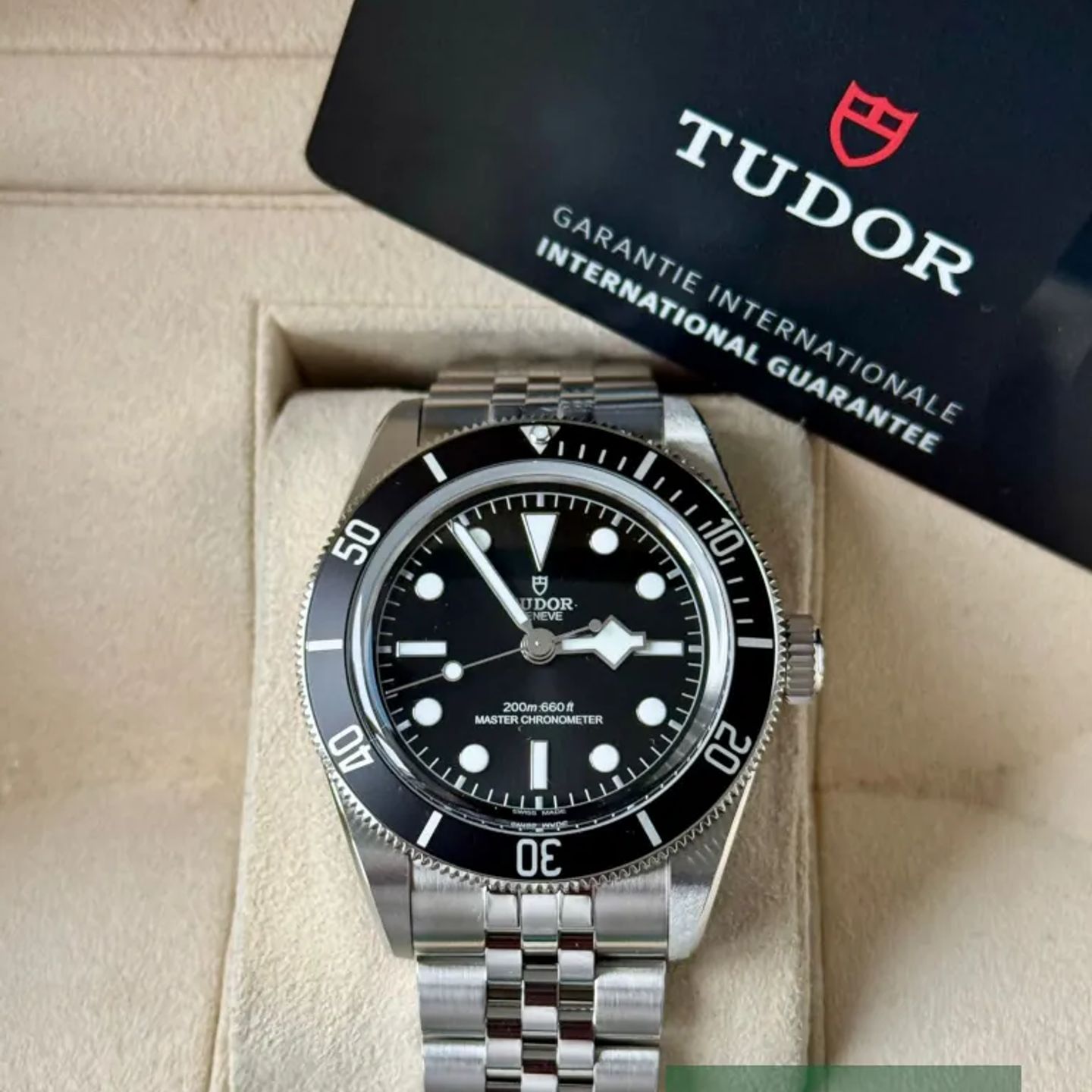 Tudor Black Bay 7941A1A0NU - (7/7)