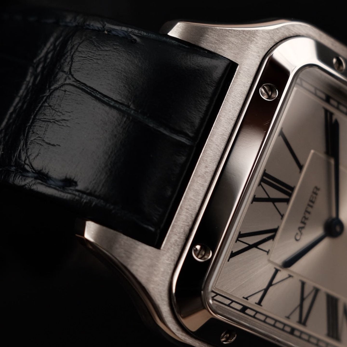 Cartier Santos Dumont WSSA0032 - (5/8)